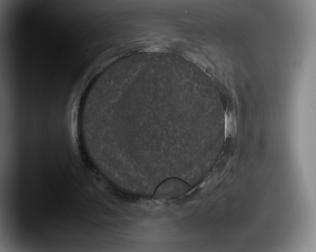 X0000087580291200705181206