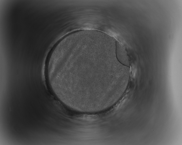 X0000087580292200705181206