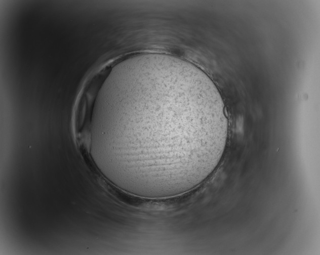 X0000087580294200705181206