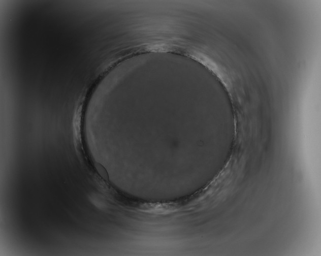 X0000087580297200705181206