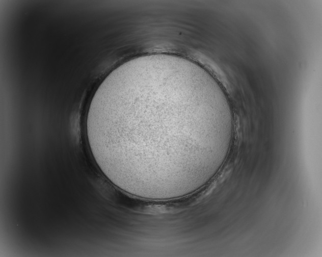 X0000087580298200705181206