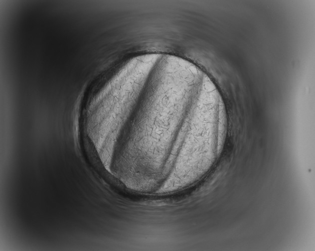 X0000087580299200705181206