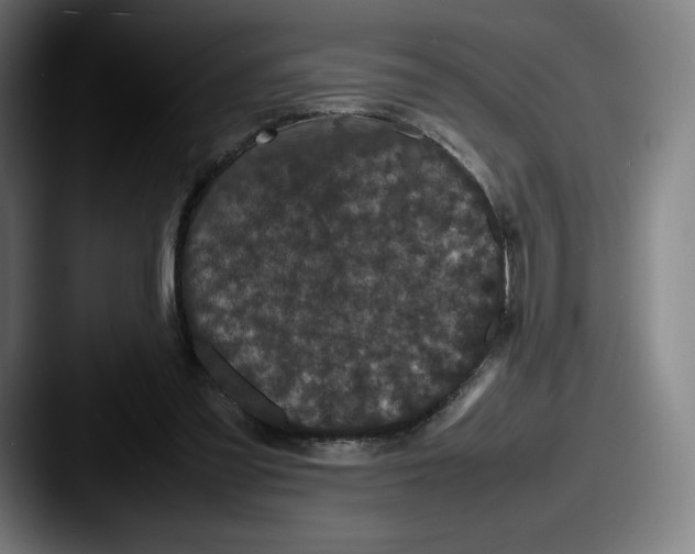 X0000087580301200705181206