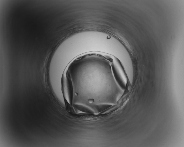 X0000087580305200705181206