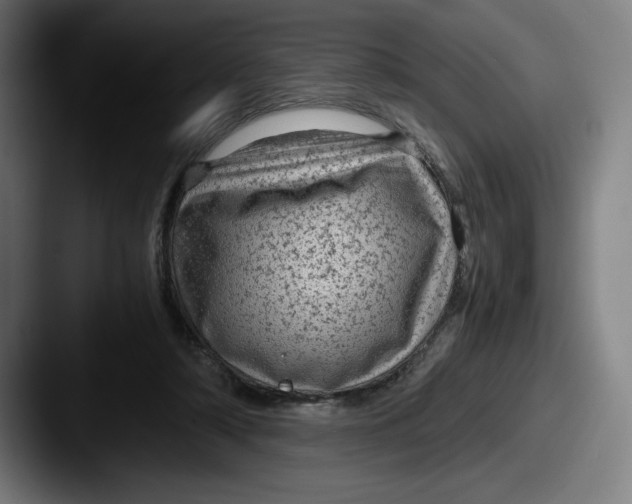 X0000087580306200705181206