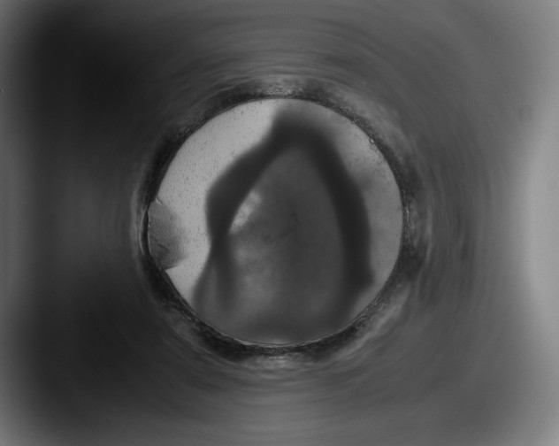 X0000087580307200705181206