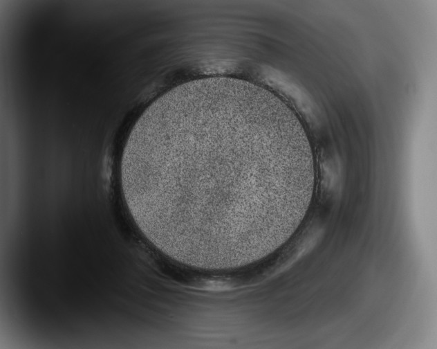 X0000087580308200705181206