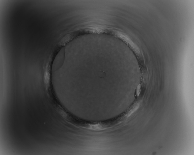 X0000087580309200705181206