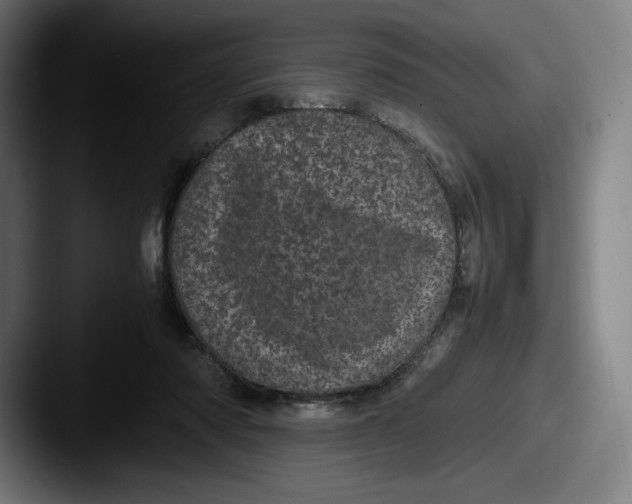 X0000087580310200705181206