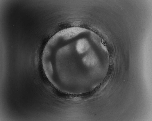 X0000087580311200705181206