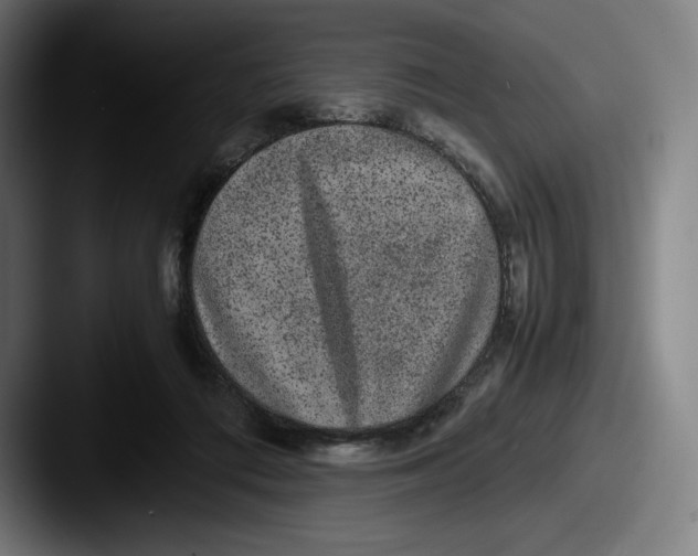 X0000087580312200705181206