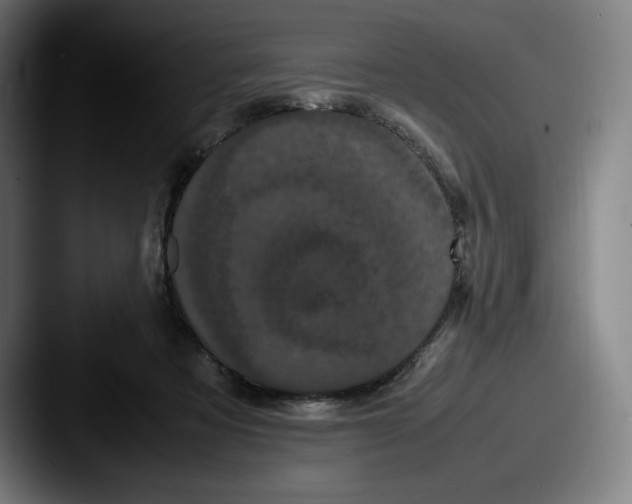 X0000087580313200705181206