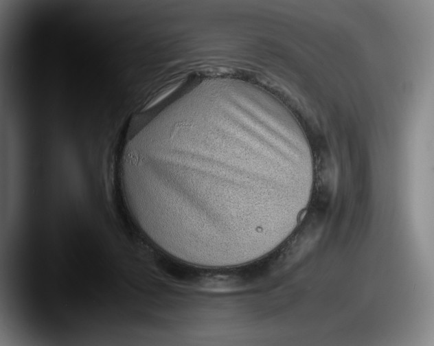 X0000087580315200705181206
