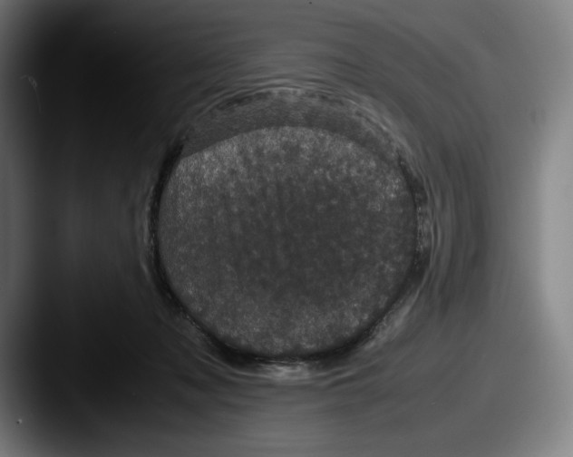 X0000087580317200705181206