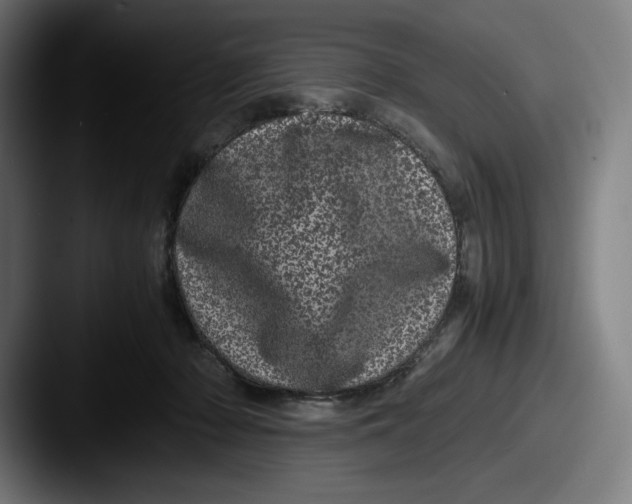 X0000087580318200705181205