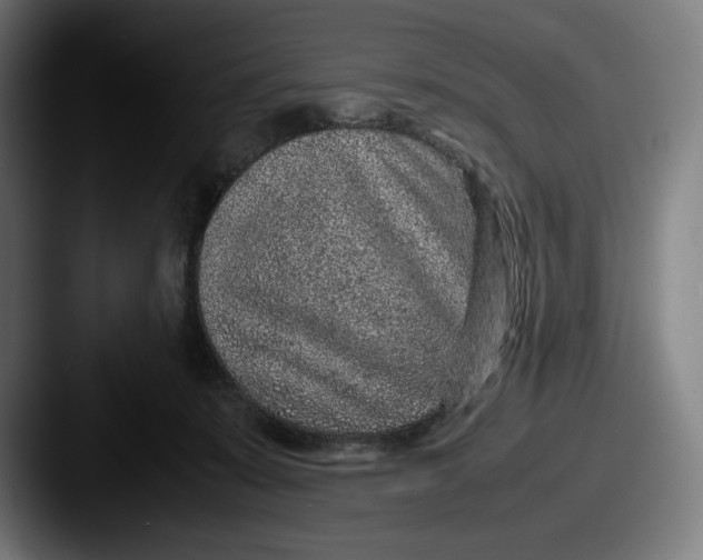 X0000087580319200705181205