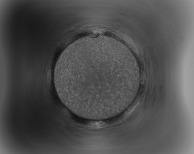 X0000087580321200705181205