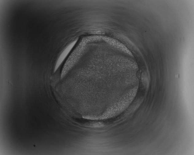 X0000087580322200705181205