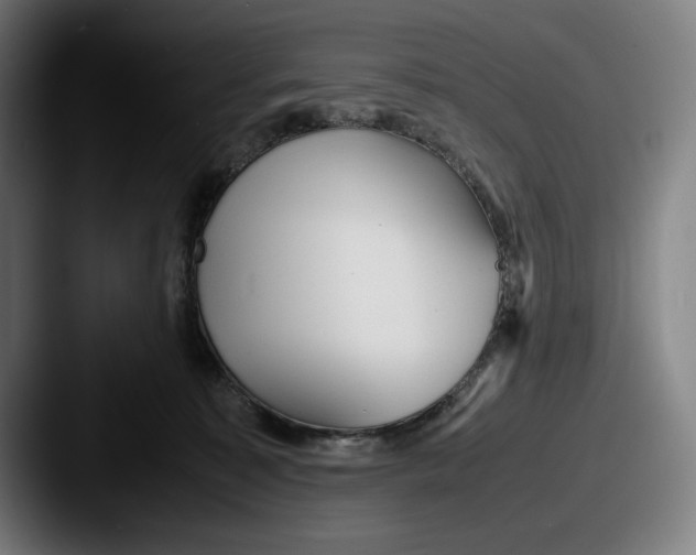 X0000087580323200705181205