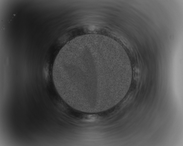 X0000087580324200705181205