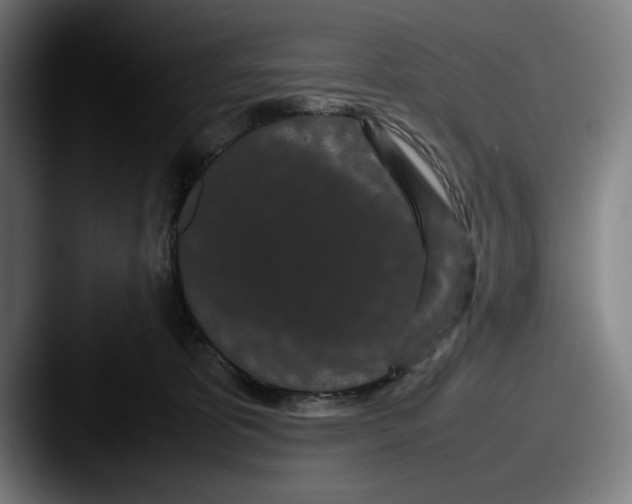 X0000087580325200705181205