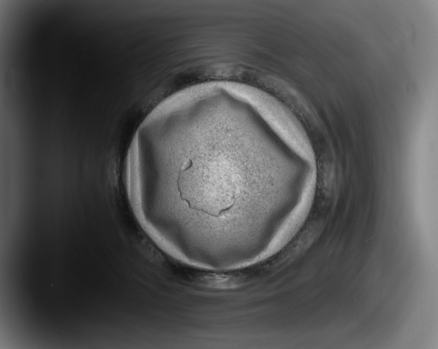 X0000087580326200705181205