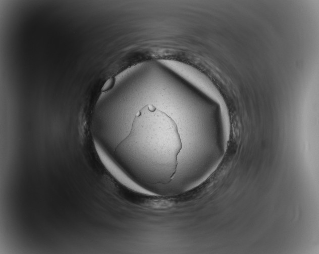 X0000087580327200705181205
