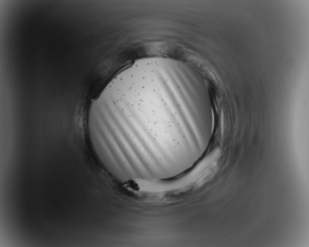 X0000087580329200705181205