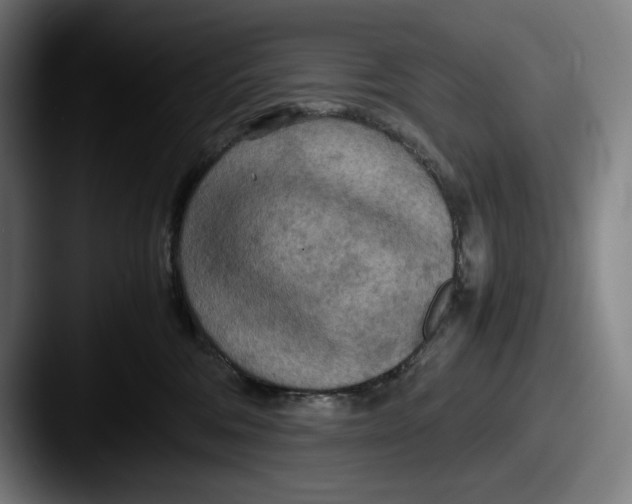 X0000087580330200705181205