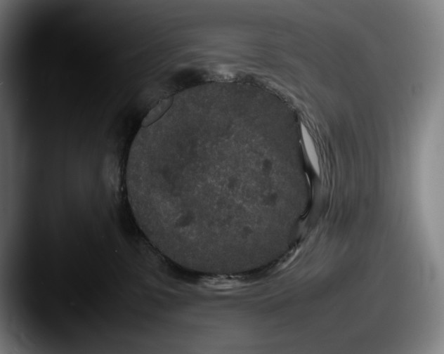 X0000087580331200705181205