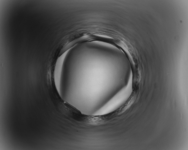 X0000087580333200705181205