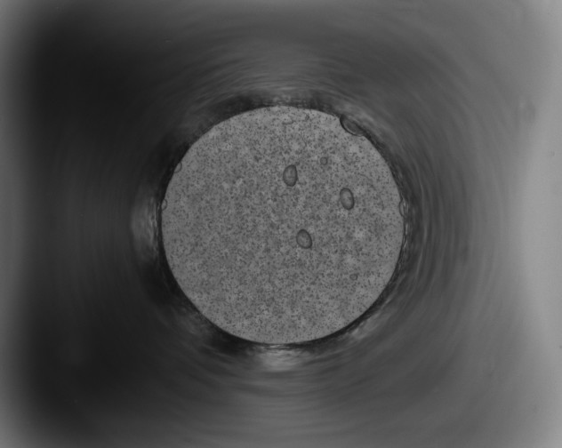 X0000087580336200705181205