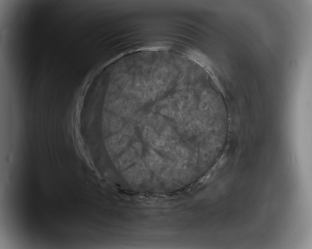 X0000087580337200705181205
