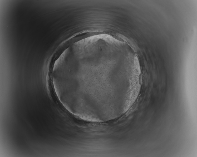 X0000087580338200705181205