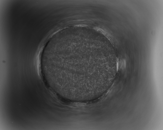 X0000087580339200705181205