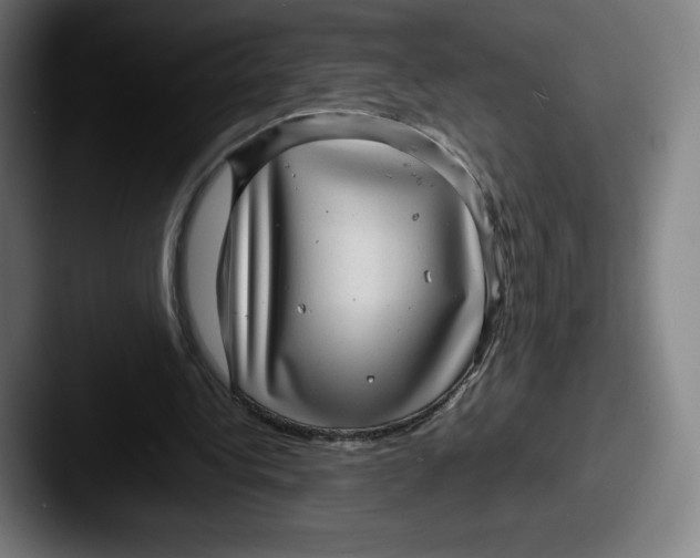 X0000087580340200705181205