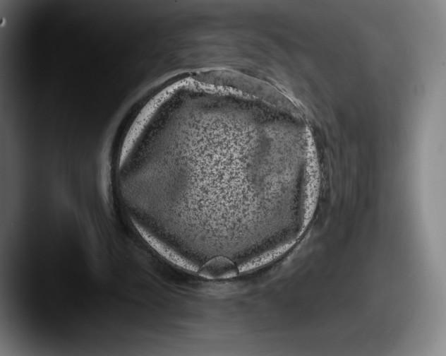 X0000087580342200705181205