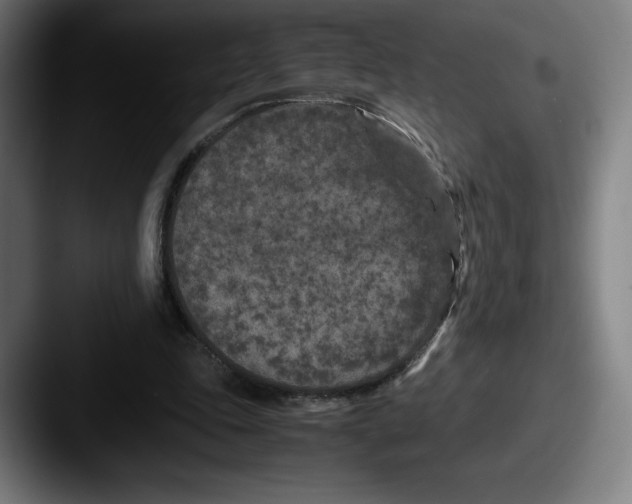 X0000087580343200705181205