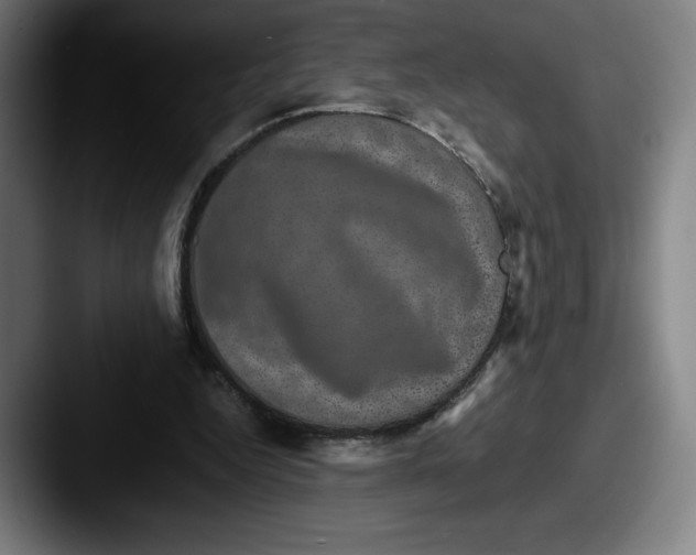 X0000087580344200705181205