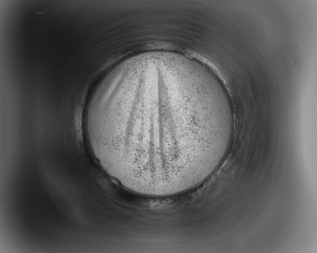 X0000087580345200705181205