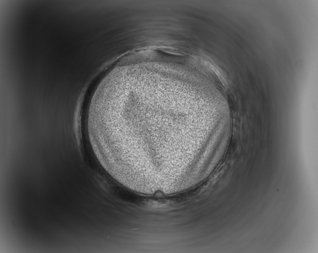 X0000087580346200705181205