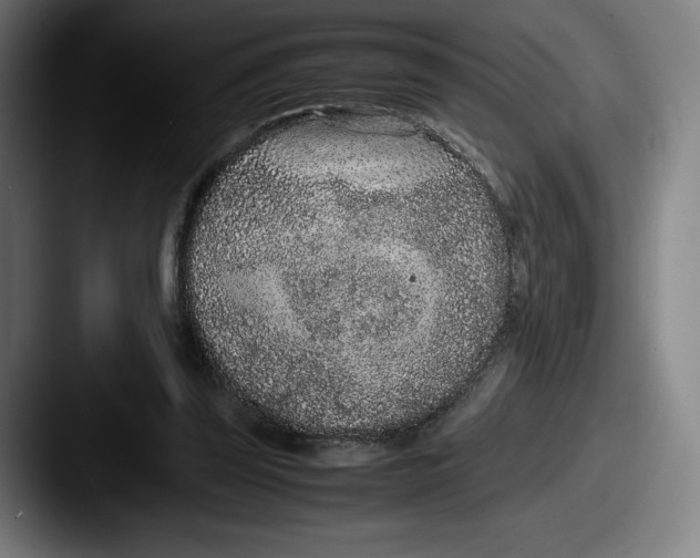 X0000087580347200705181205