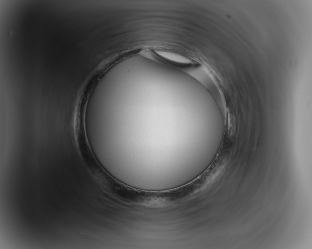 X0000087580348200705181205