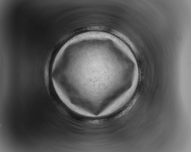 X0000087580349200705181205