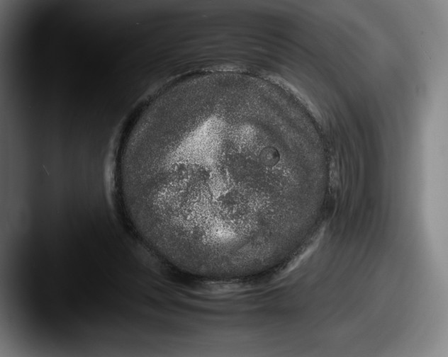 X0000087580351200705181205