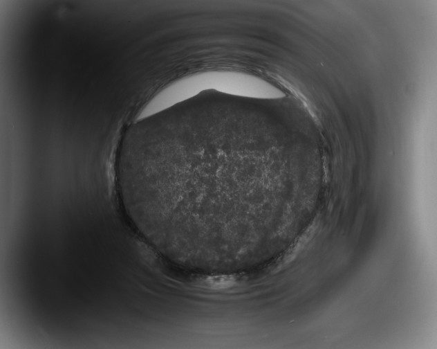 X0000087580353200705181205