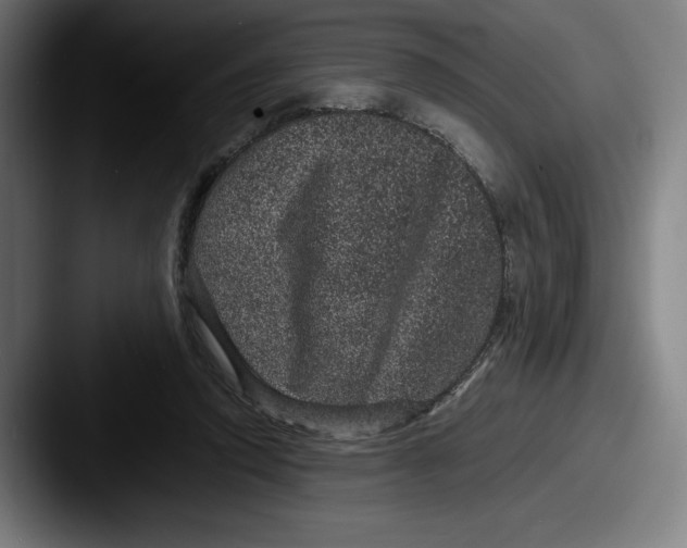 X0000087580354200705181205