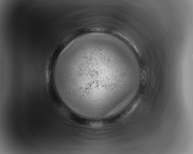 X0000087580355200705181205