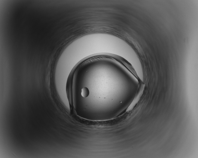X0000087580356200705181205