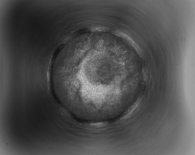 X0000087580357200705181205